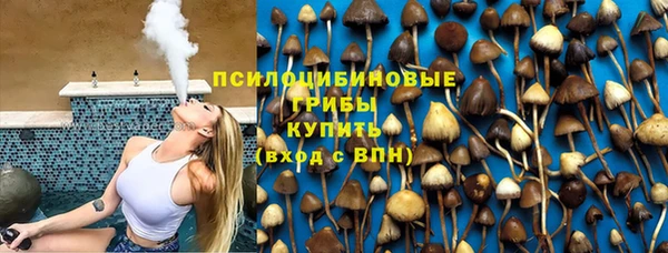 эйфоретик Каменка