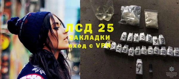 ГАЛЛЮЦИНОГЕННЫЕ ГРИБЫ Касимов